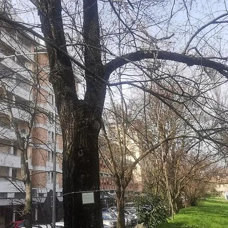 Casa Pinu